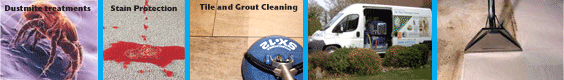 Carpet cleaners: dust mites, Stain protection, Tile and Grout Cleaning, Truckmount